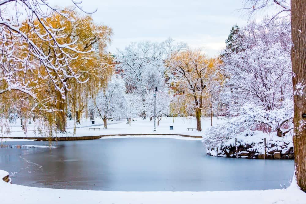 Snow at a park in Boston, MA