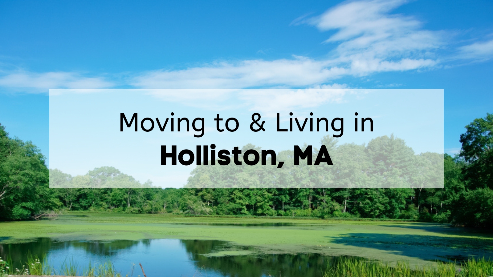 Living in Holliston MA 🏡 | Your Quick Guide on Moving to Holliston