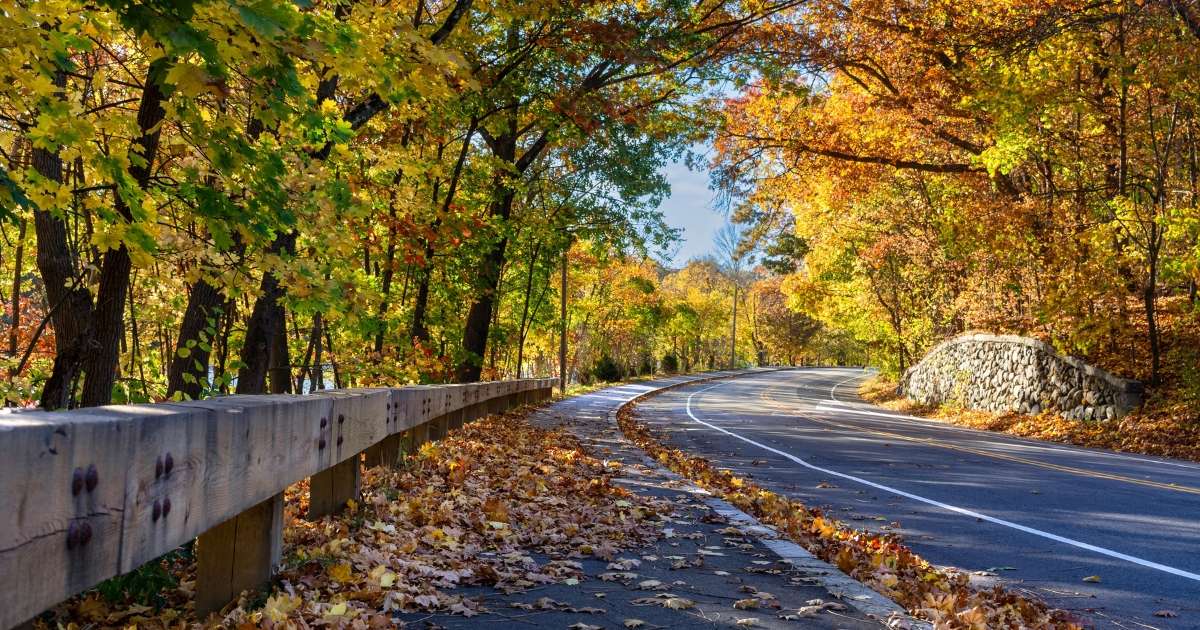 Winding fall road in Massachusetts. 