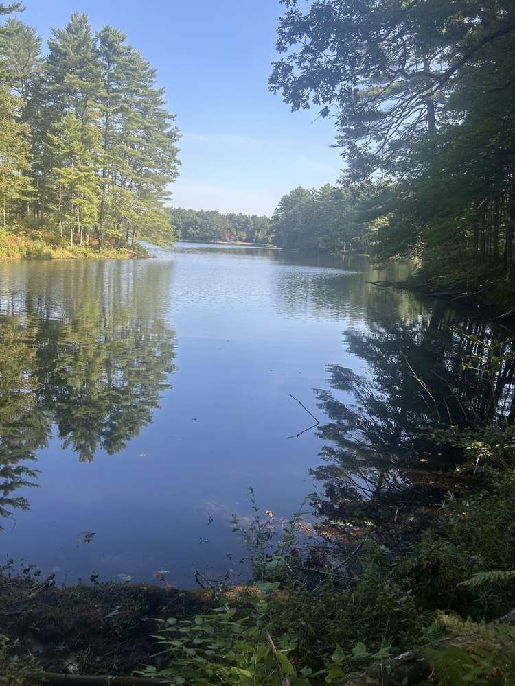 Lake in rutland state park with large trees surrounding it