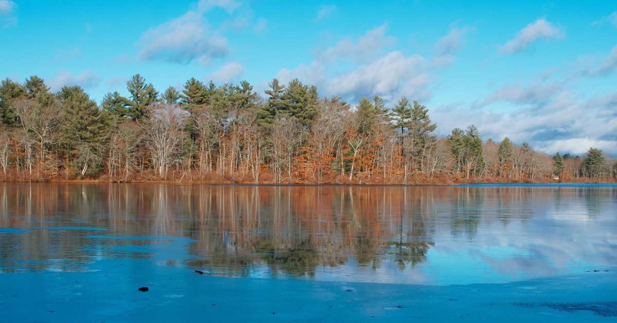 Winter scenery of leach pond in Borderland state park Easton MA USA