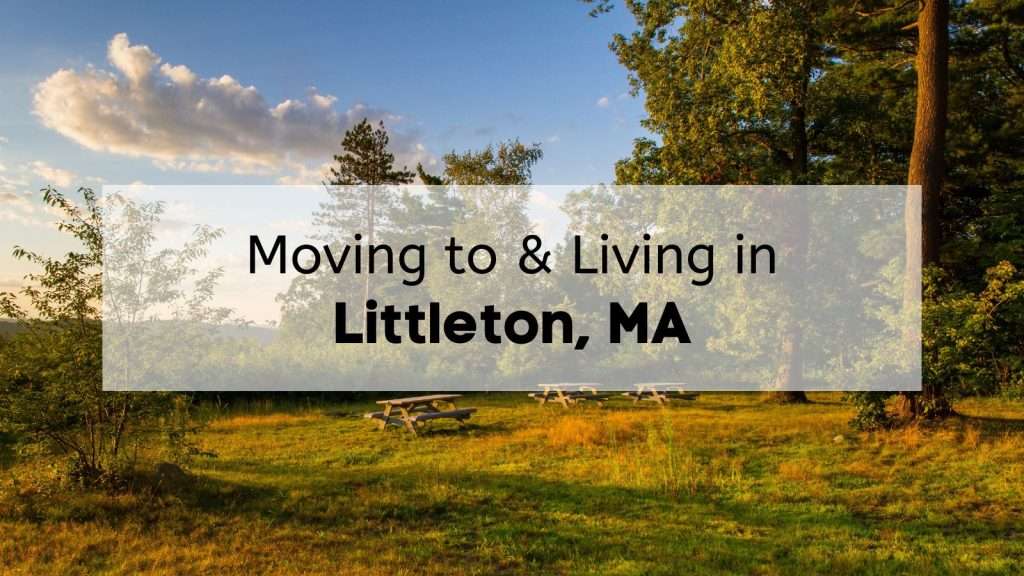 Dense mixed forest with tall trees in Littleton, Massachusetts