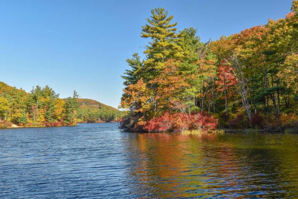 The beautiful fall colors on the lake near westminster ma
