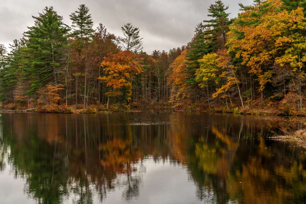 A lake with trees changing colors for fall