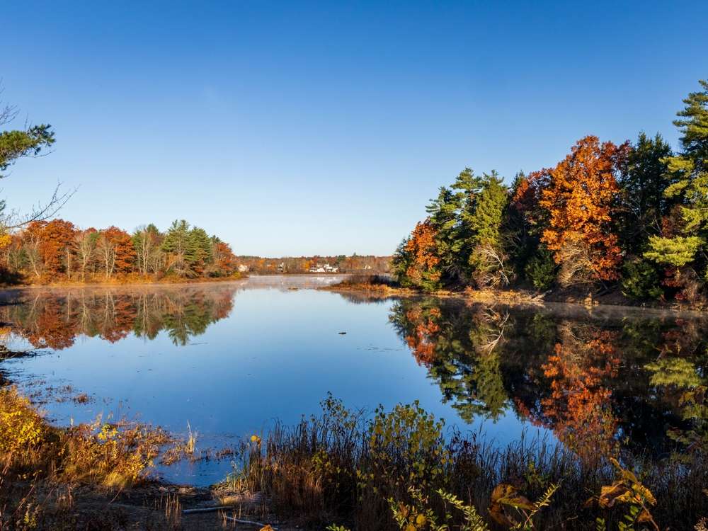 The fall colors trees around a lake